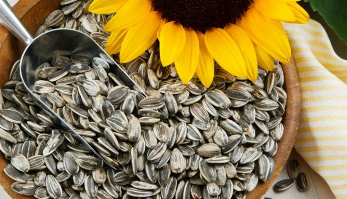 11 نوع طعام لتعزيز صحة العين... ليس الجزر وحده "يقوي النظر"!