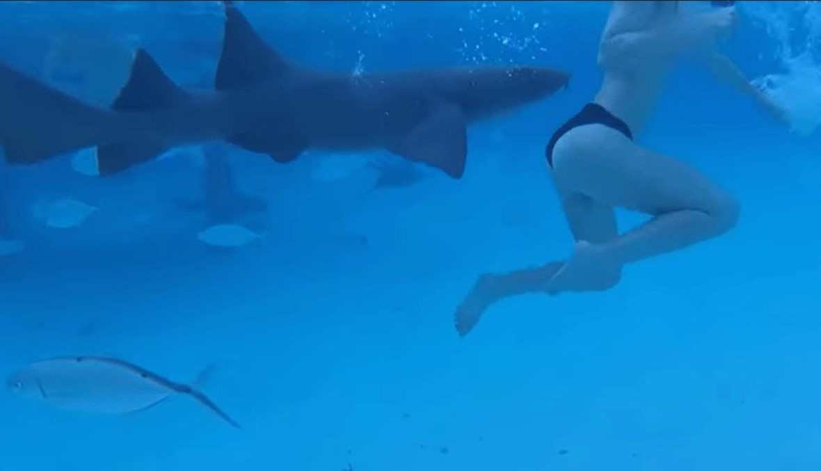 صوّر زوجته بالفيديو أثناء هجوم القرش عليها