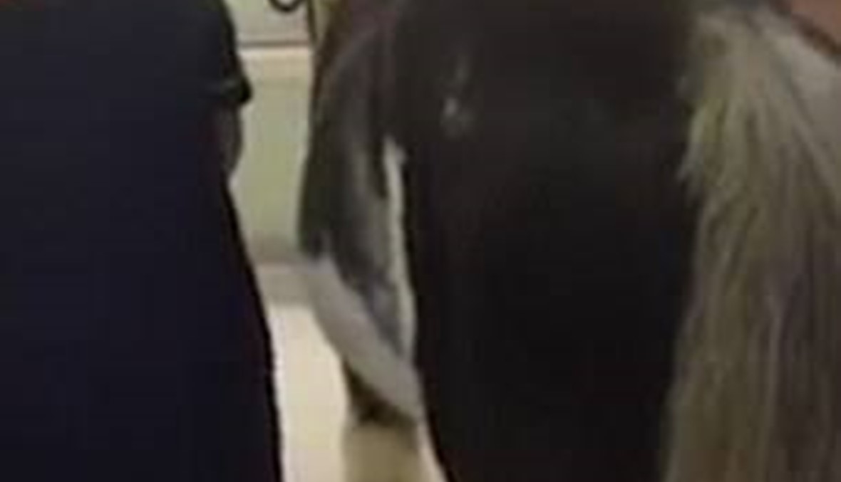 حصان يزور مريضة داخل مستشفى... إنّها "مفاجأة"!