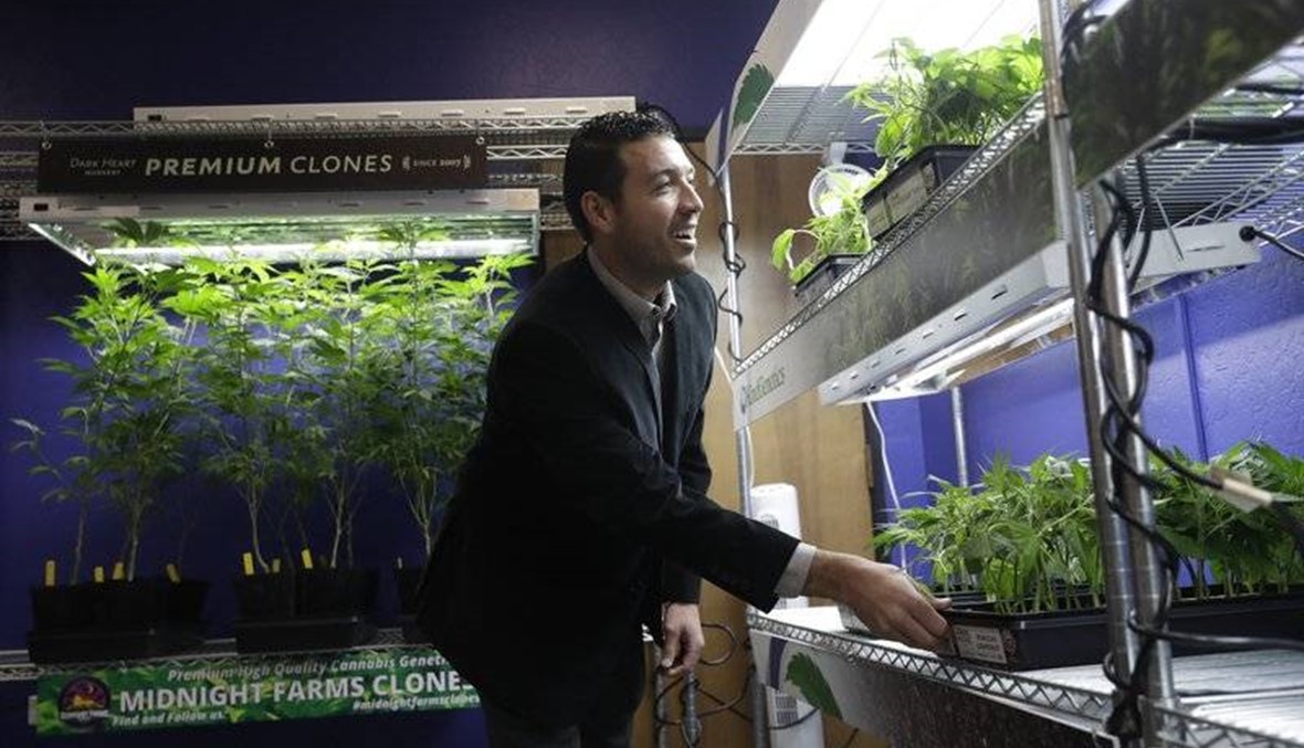 California starts recreational pot sales, clients jam stores