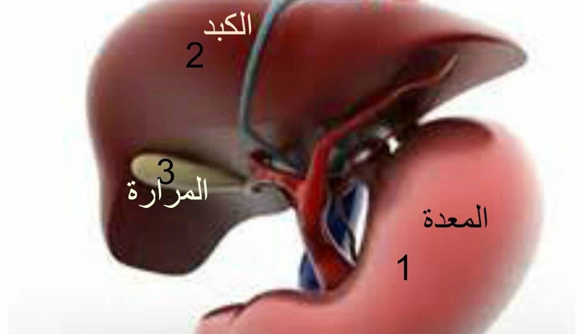 ماذا يجب أن نأكل بعد استئصال المرارة؟