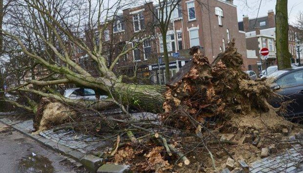 بالفيديو- العاصفة "فريديركا" تضرب هولندا وتسبّب دماراً...اقتلعت الأشجار وطار المارّة وأسقف المنازل!