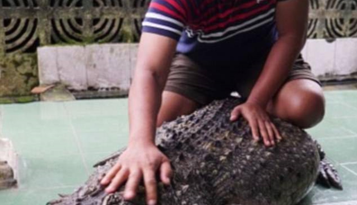 بالفيديو: إندونيسي وأسرته رفقة تمساح ضخم  في المنزل