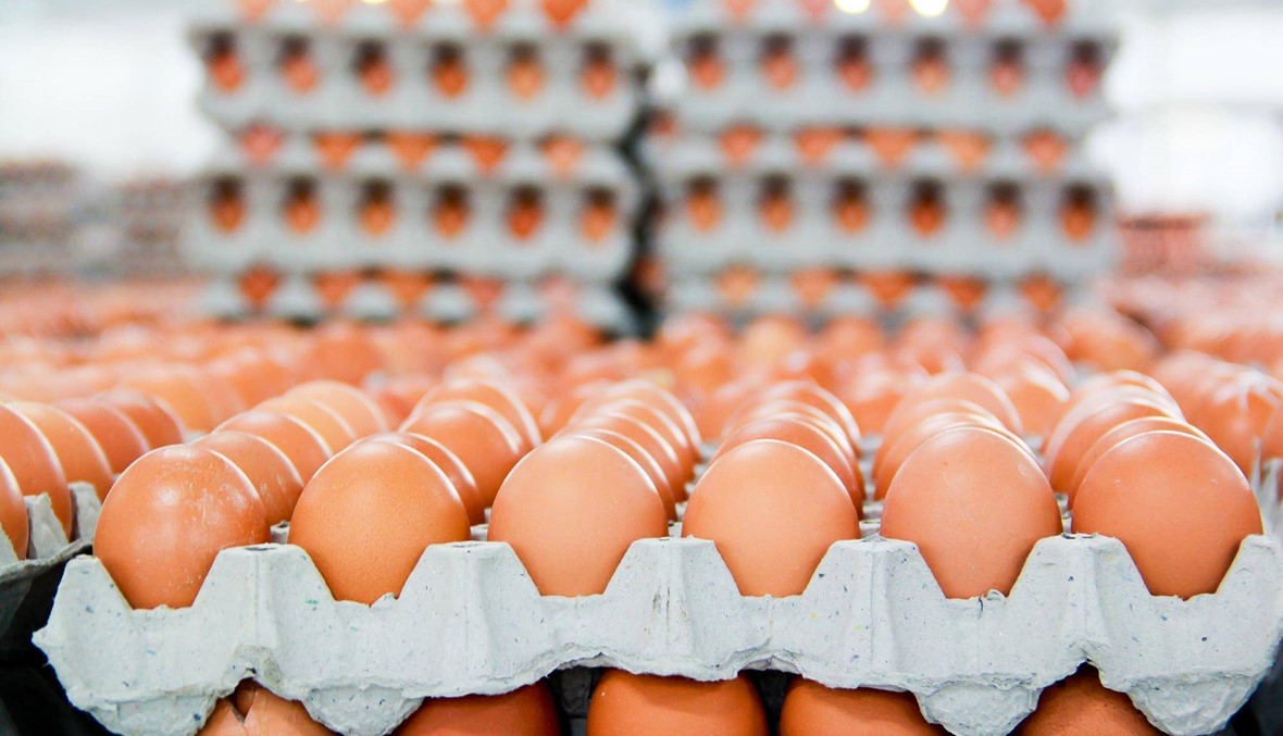 15 ألف بيضة تفاجئ الوفد النروجي في الأولمبياد!