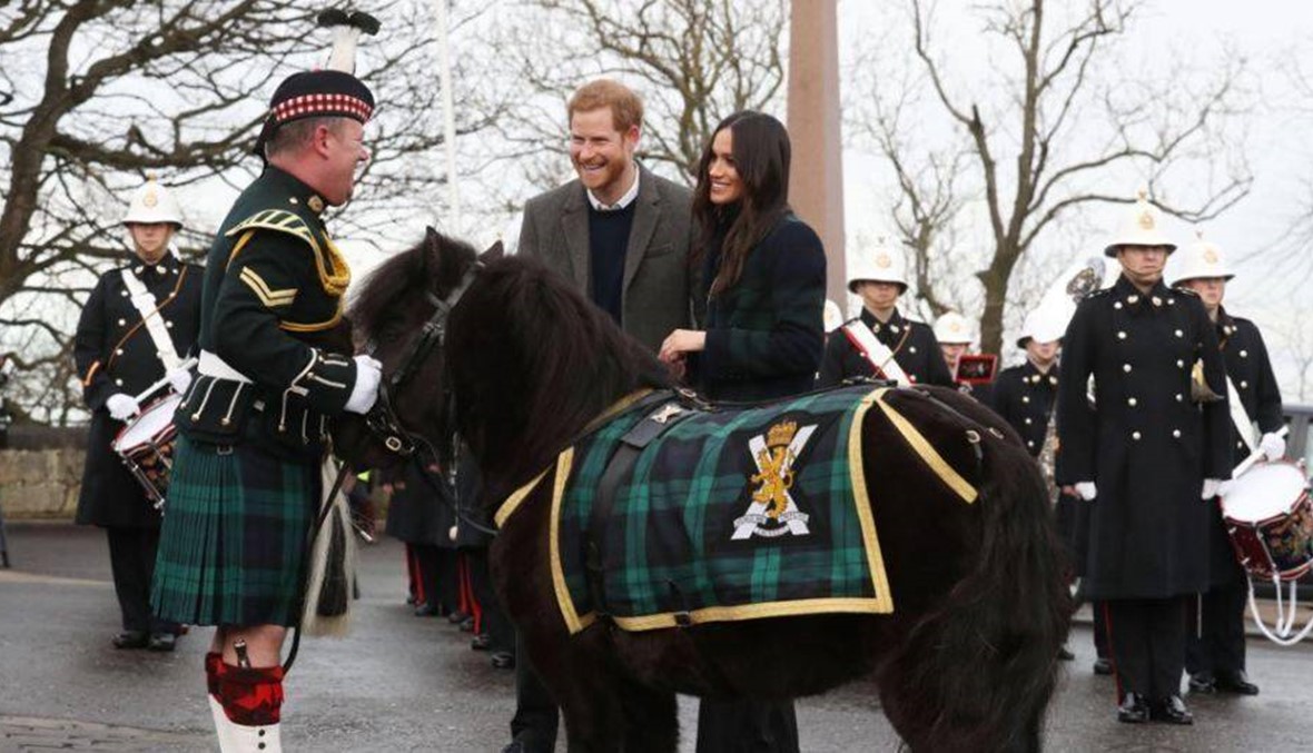 بالفيديو - حصان اسكوتلندي يقضم يد الأمير هاري