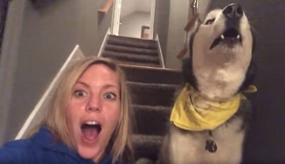 بالفيديو: كلب يقول لمالكته "أحبك"
