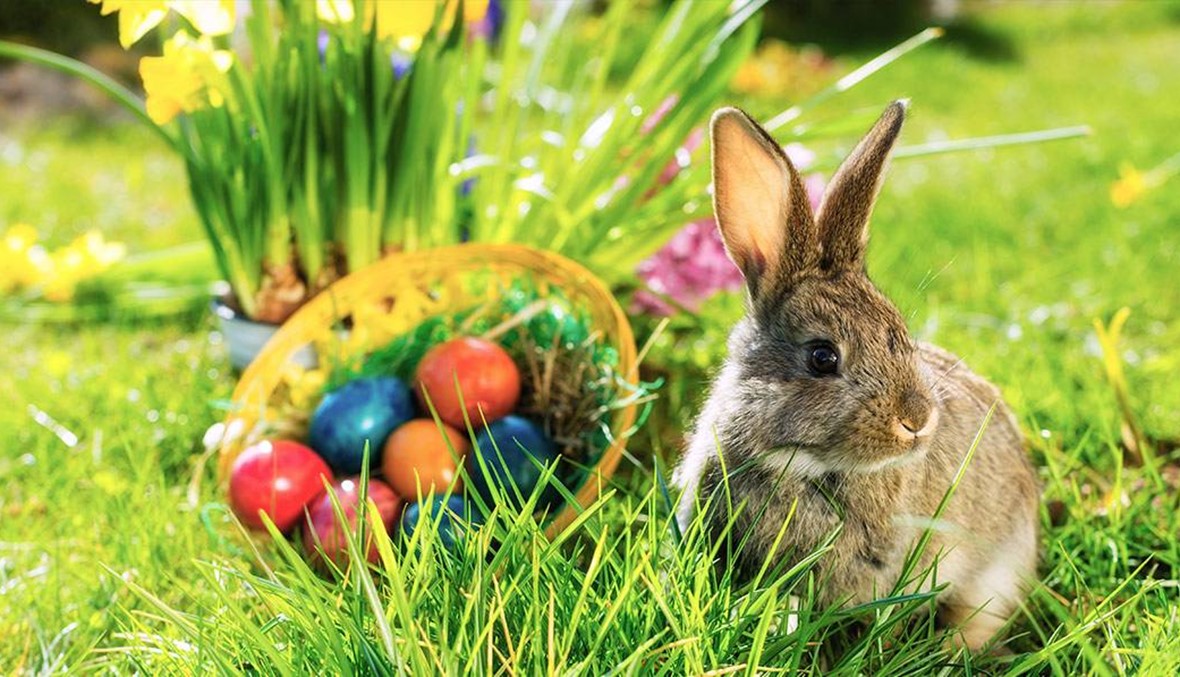 ما سبب ارتباط الأرانب والبيض بعيد الفصح؟