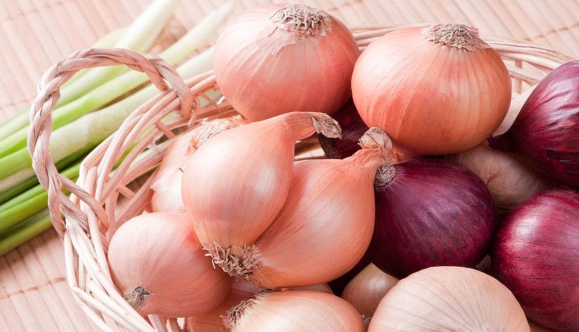 ما هي أبرز أنواع البصل المستهلكة في لبنان وما الفرق بينها؟