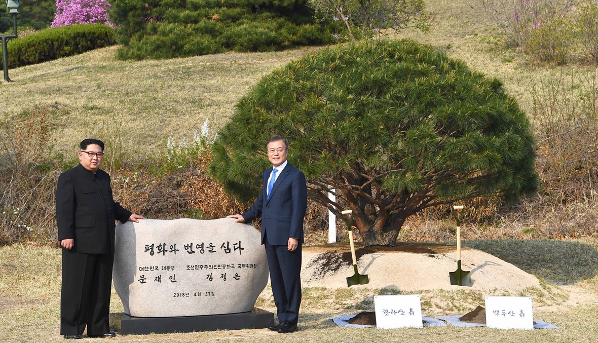 زعيما الكوريتين زرعا شجرة سلام عند الحدود بين بلديهما