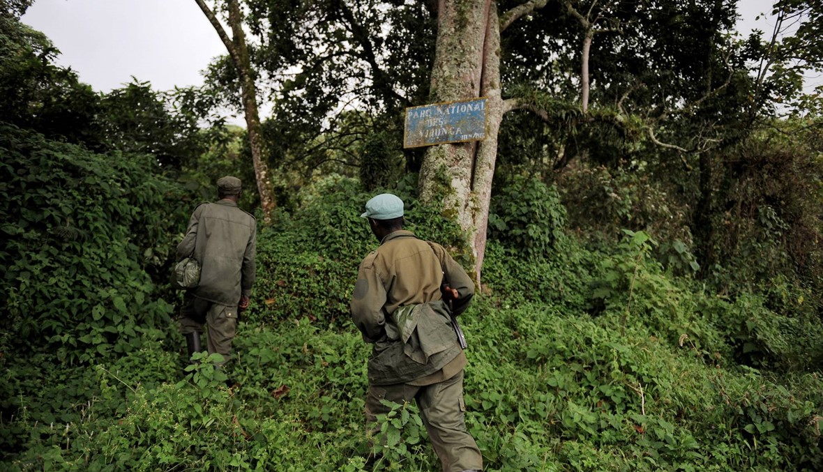 جونسون أعلن "بسرور": تمّ الإفراج عن البريطانيَّين المخطوفَين في الكونغو