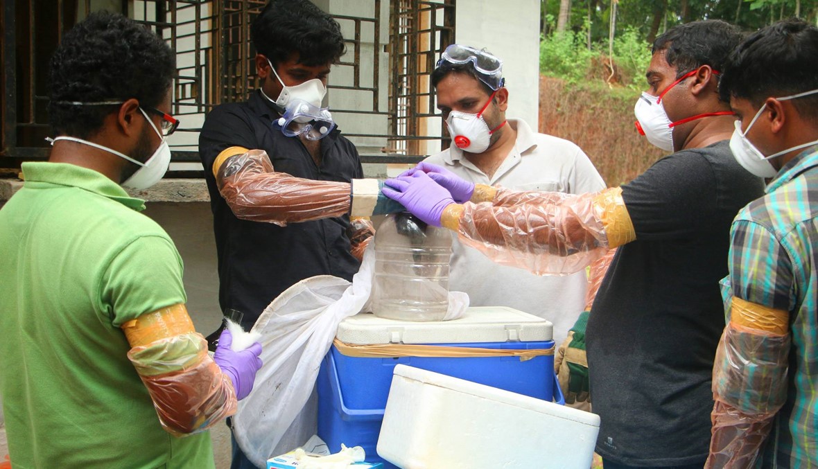 فيروس نادر يتفشّى في الهند... وفاة عشرة، وخشية من خفافيش الفاكهة