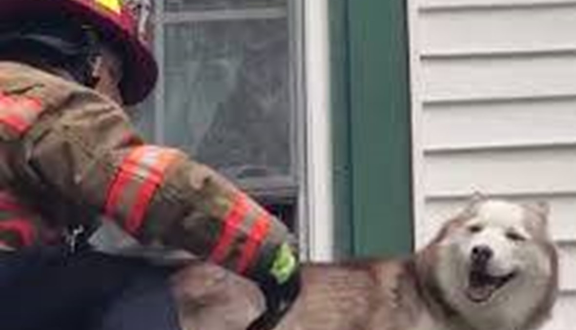 بالفيديو - كلب يرفض الدخول إلى المنزل قبل أن يشكر منقذه