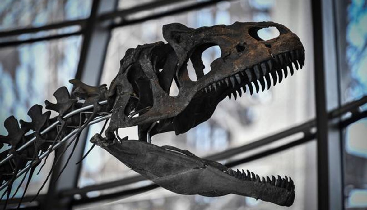 هيكل ديناصور يباع بمليوني أورو في برج إيفل