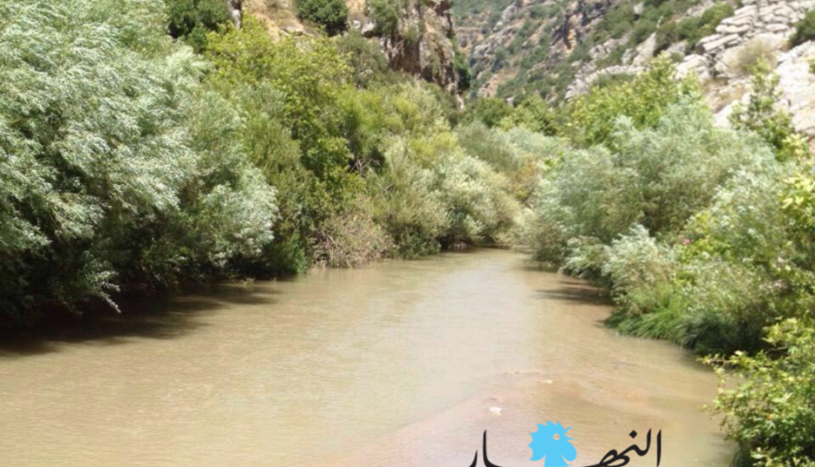 محافظ النبطية: لإقفال مؤسسات غسل الرمول في نهر الليطاني