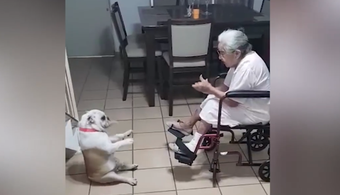 بالفيديو- عجوز تغنّي وكلبها يرقص إلى جانبها!