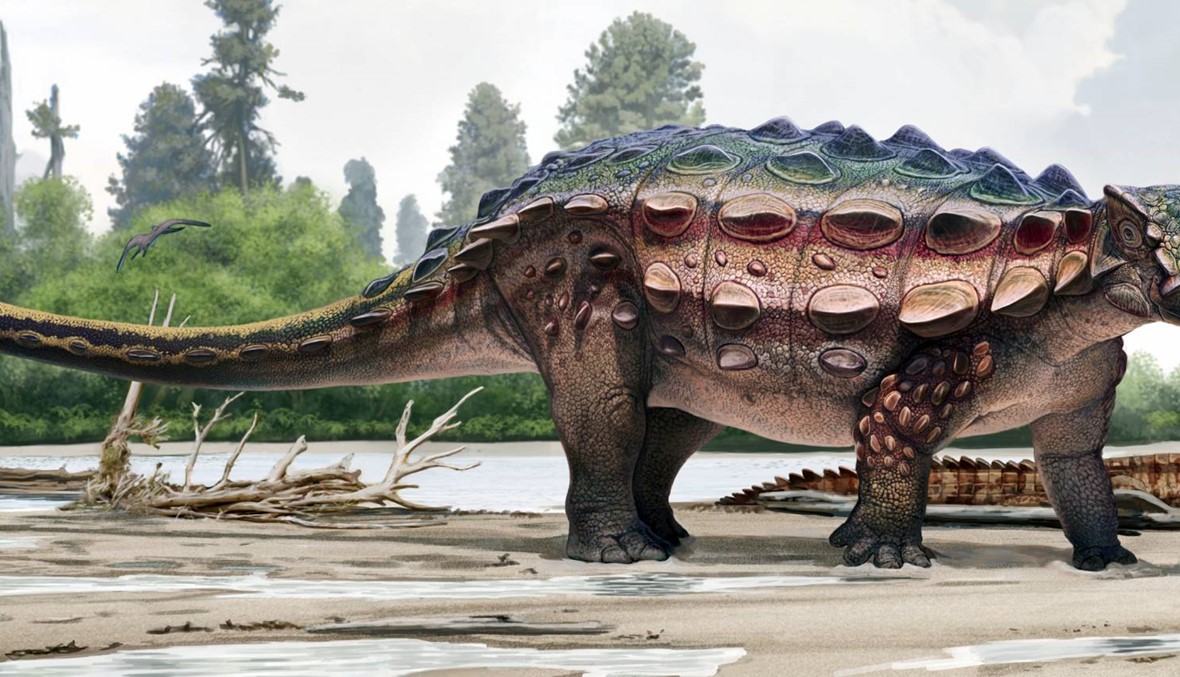 اكتشاف حفريات ديناصور يصل طول أكبرها إلى 17.5 متر