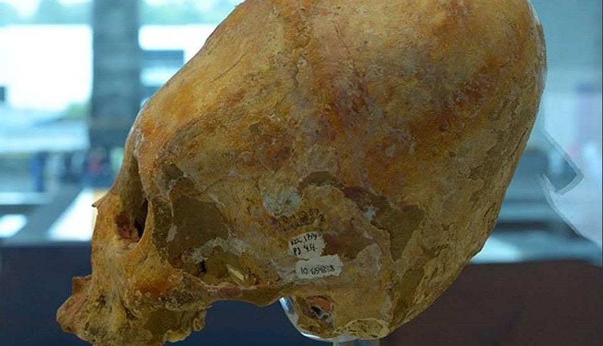 إكتشاف 3 هياكل بشرية عمرها 7 آلاف عام
