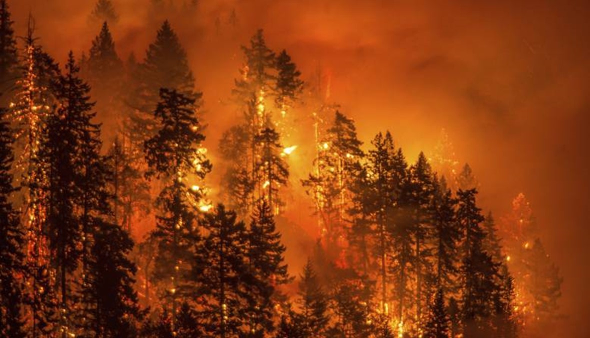 رغم الأحوال الجوية المعاكسة... عمليات إطفاء الحرائق المستعرة في كاليفورنيا تتقدّم