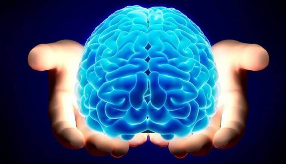 جديد أسرار الدماغ: كل عصب يعمل كأنه خليوي كامل!