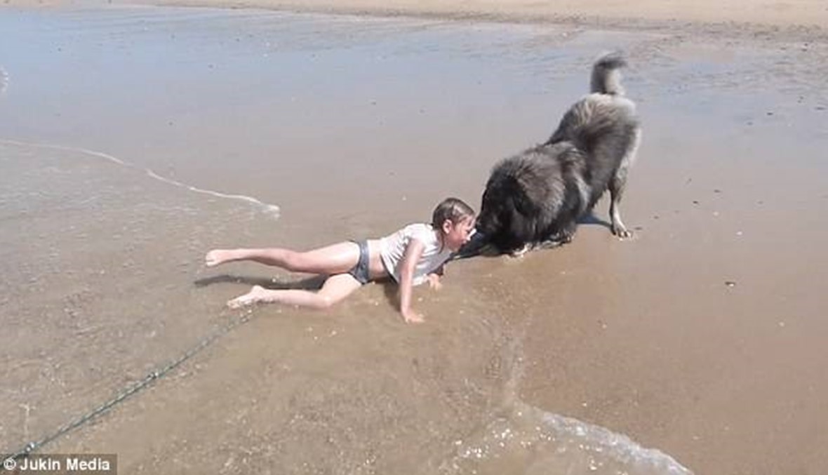 بالفيديو- مشهد لطيف لكلب ينقذ طفلة بعدما سحبتها الأمواج