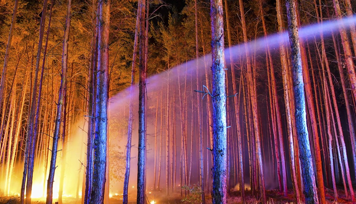 حرائق الغابات تجبر مئات الاشخاص على مغادرة منازلهم في ألمانيا (صور)