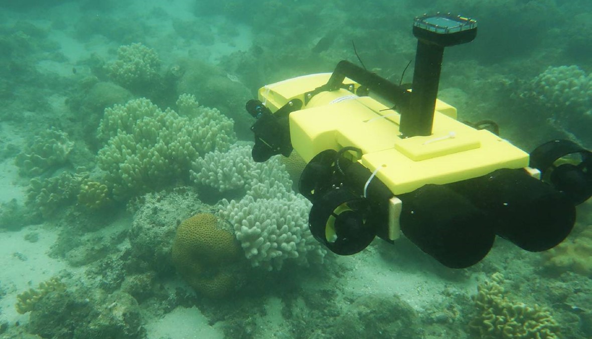 روبوت للقضاء على نجمات البحر المؤذية للحاجز المرجاني العظيم في أوستراليا