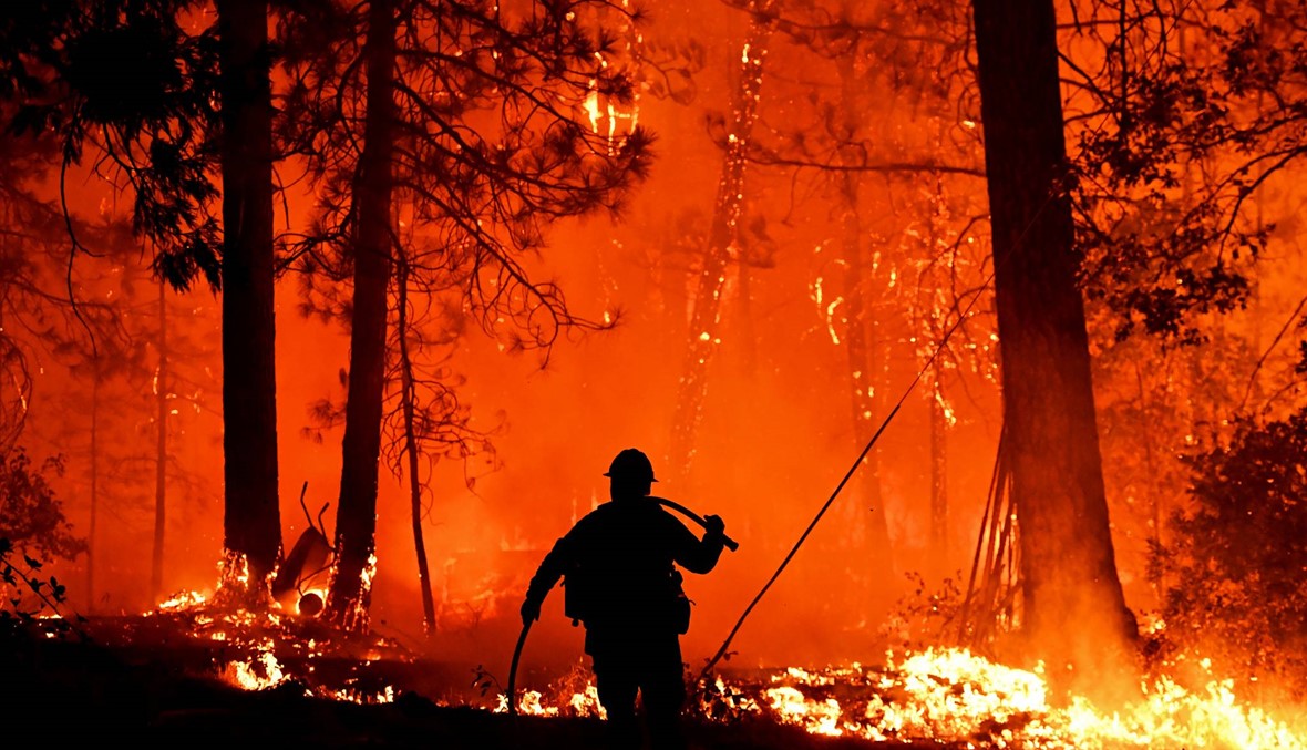 حرائق في غابات كاليفورنيا... النّيران تلتهم 40 ألف  فدان في جبال كاسكيد