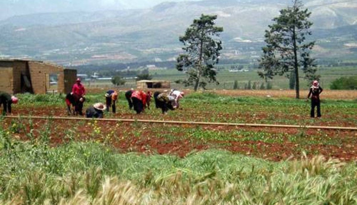 مستقبل الزراعة في لبنان!