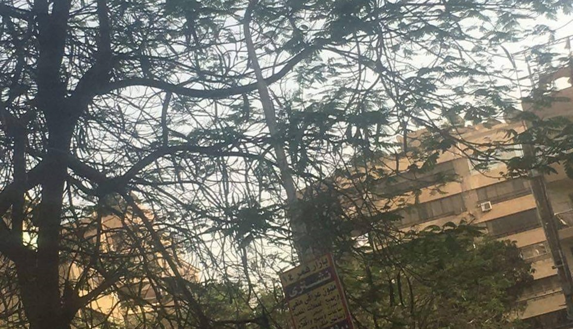 فقط في مصر... كشافات الإنارة تضاء نهاراً رغم التقشف ورفع أسعار الكهرباء