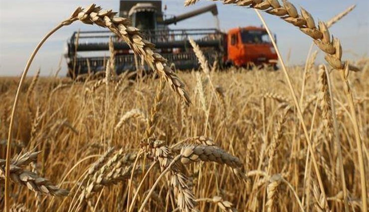 مصر تشتري 470 ألف طن من القمح في مناقصة دولية