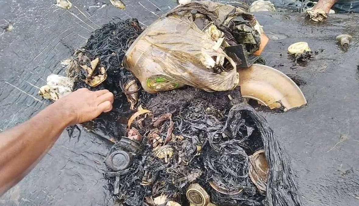 1000 قطعة من البلاستيك داخل حوت ميت في إندونيسيا (صور وفيديو)