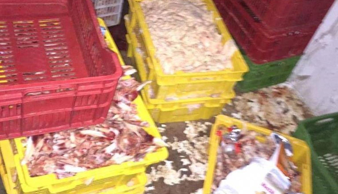 إقفال مستودع لبيع لحوم الدجاج بالشمع الاحمر في الزاهرية