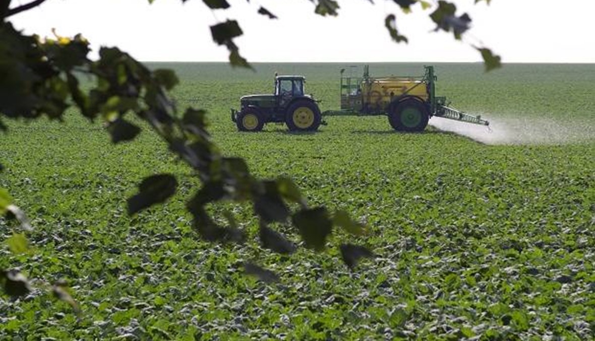 عودة المبيدات الزراعية المسرطنة إلى الأسواق و "الصحة" تعترض!
