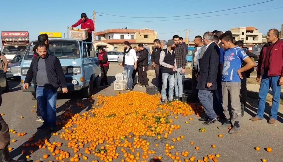 مزارعو وتجار الحمضيات يقطعون الطريق الدولية في عكار