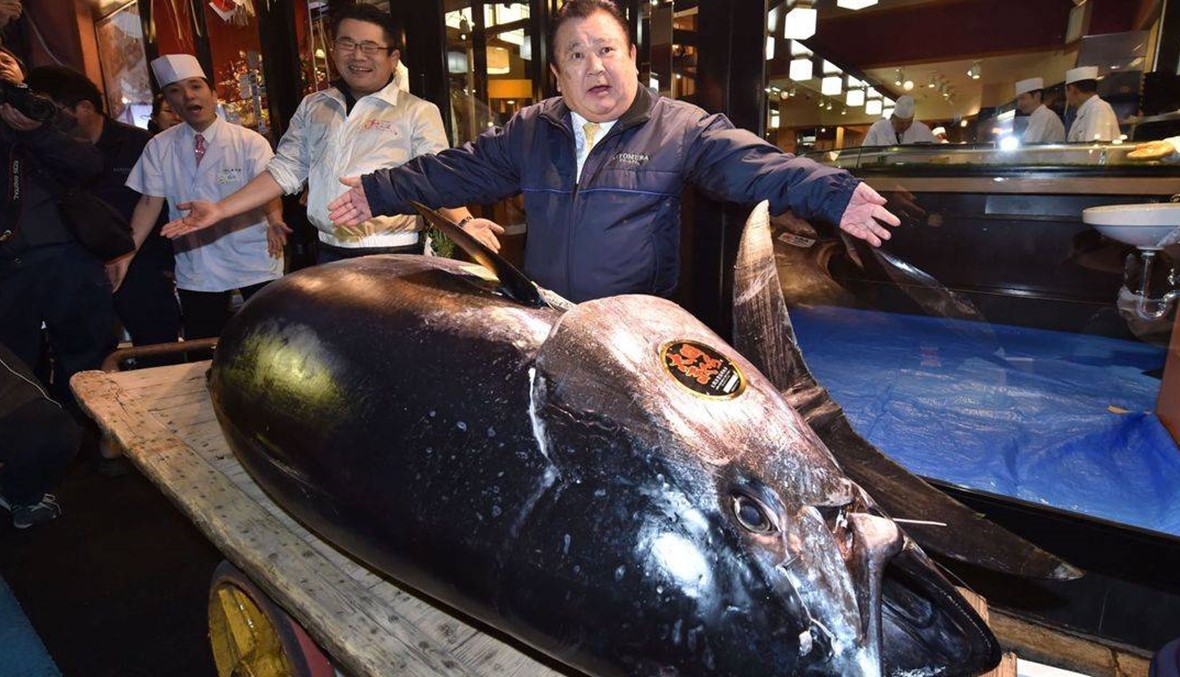 بيع سمكة تونة بـ 3,1 ملايين دولار في اليابان