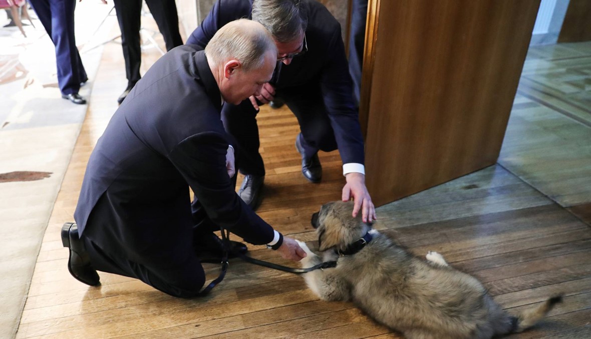 بوتين بدأ زيارة لصربيا: ترحيب حار بـ"الصديق العزيز"، وجرو هدية رئاسيّة له