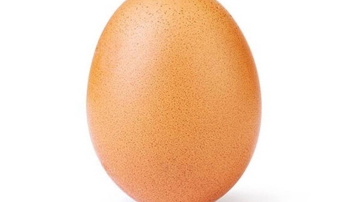 حساب "البيضة" يُطلق ثاني منشوراته... لغز جديد يحيّر المتابعين (صورة)