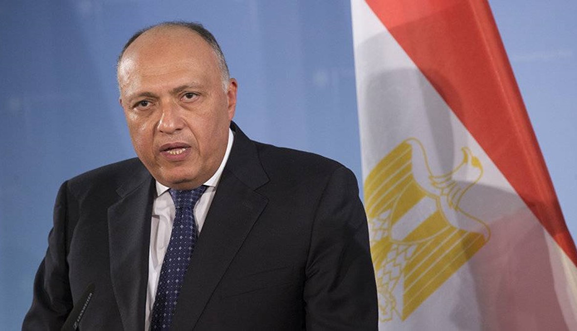 لقاء جمع وزير الخارجية المصري وجنبلاط في كليمنصو