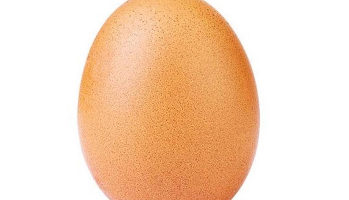 الكشف عن الهوية الحقيقية لحساب البيضة الشهير وإعلانات قريبة قادمة!