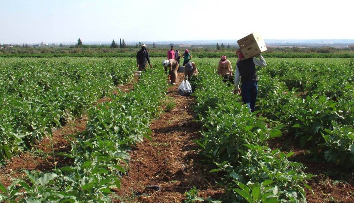 إطلاق محور الشركات الغذائية والزراعية اللبناني برعاية الحريري وبدعم هولندي