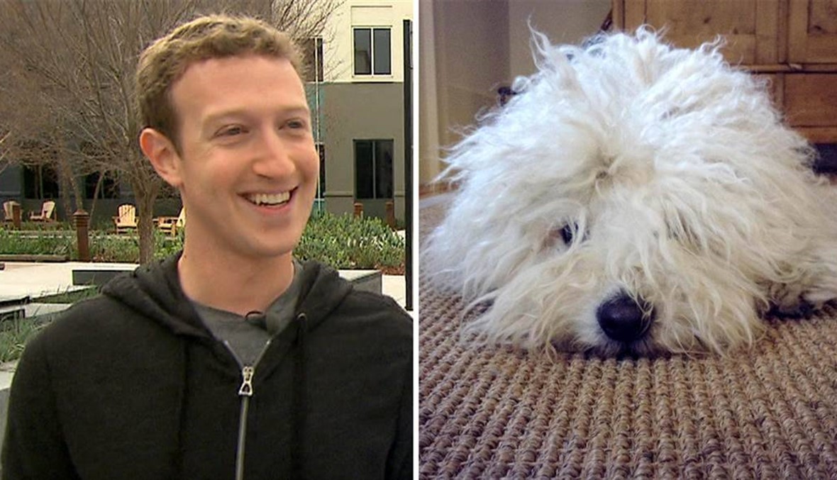 ما علاقة كلب مؤسس فيسبوك بشرائه تطبيق واتس أب!