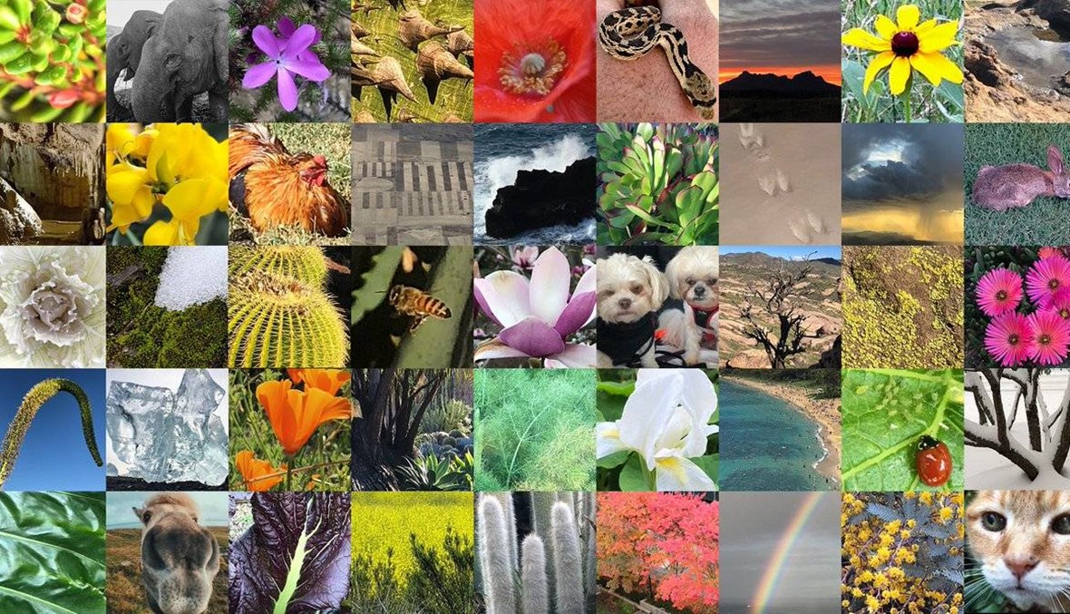 "الناسا" تدعوكم لإرسال أفضل الصور  للطبيعة في 22 نيسان المقبل!