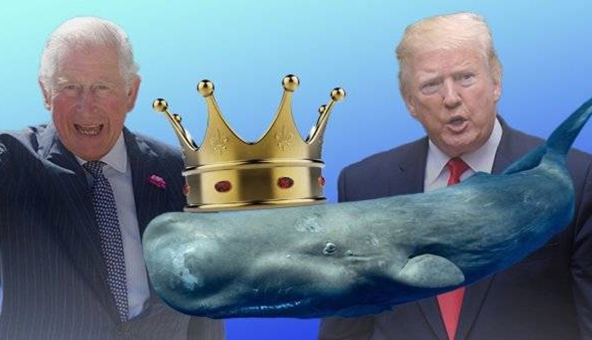 ترامب ينعت الأمير تشارلز بـ"أمير الحيتان"... موجة سخرية بسبب التغريدة!