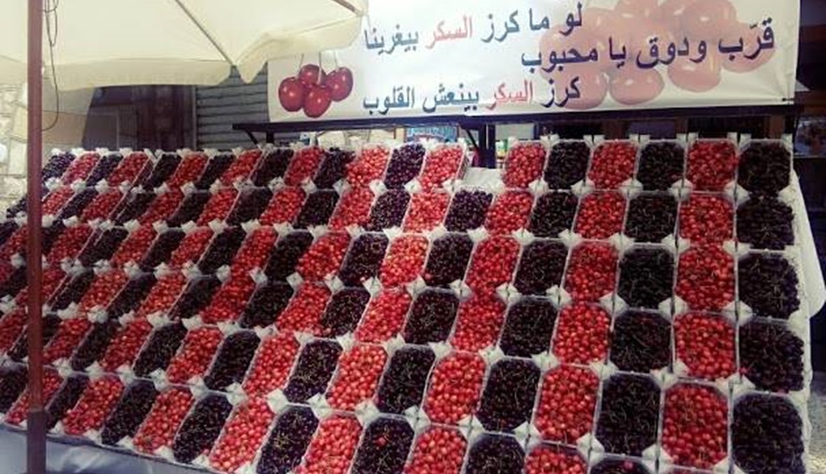 يوم الكرز في حمانا المشهديّة: "كم نقطة حمراء على الذقن"