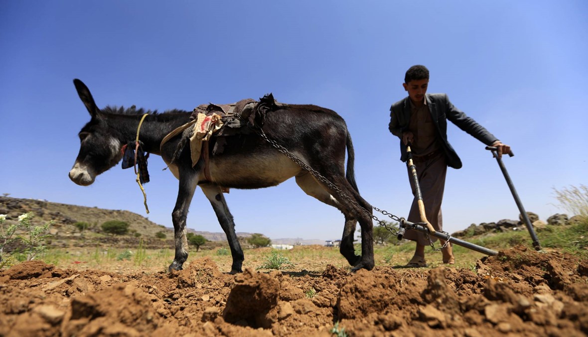 الأمم المتّحدة: تعليق المساعدات الغذائية في اليمن يبدأ هذا الأسبوع