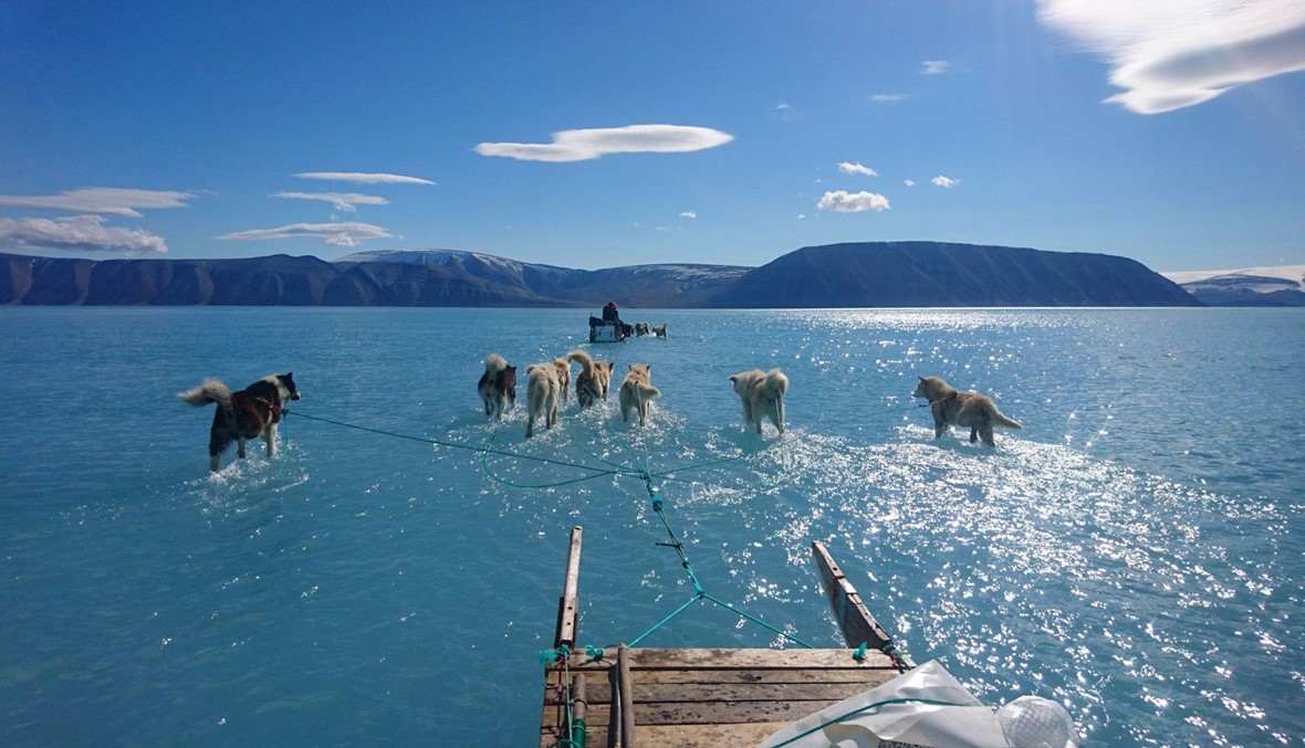 ذوبان الجليد يهدّد سواحل العالم... بوادر حصيلة سنوية رهيبة في غرينلاند بسبب احترار المناخ