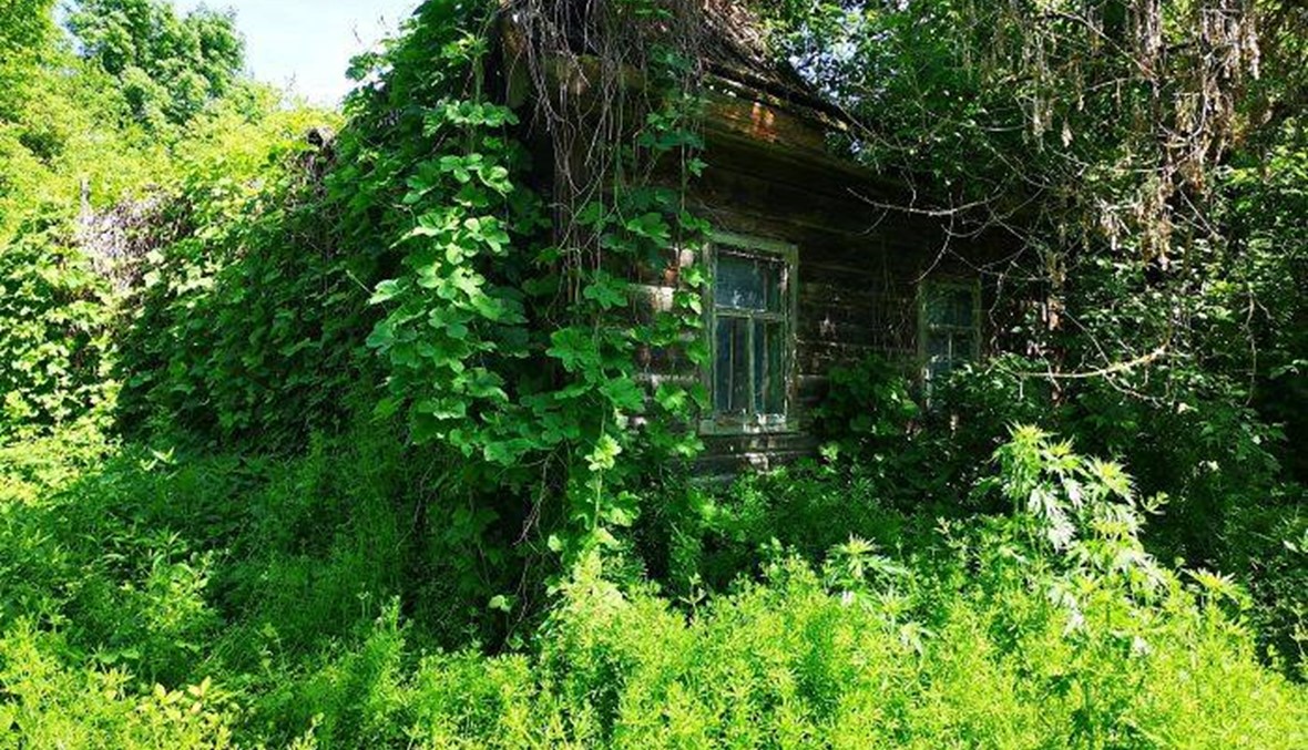 20 صورة تثبت انتصار الطبيعة على النووي في تشيرنوبل!