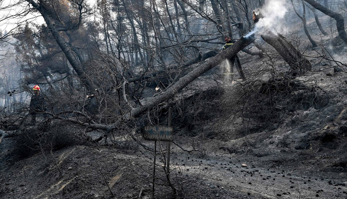 بالصور: حريق "مدمّر" لأكثر من 30 ساعة... "كارثة بيئية" في جزيرة إيفيا اليونانية