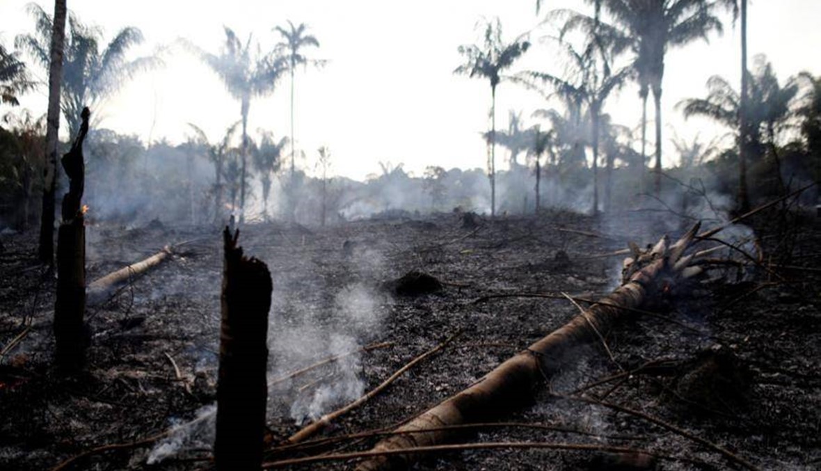غابة الأمازون تحترق... ماذا تعرفون عن "رئة الأرض"؟