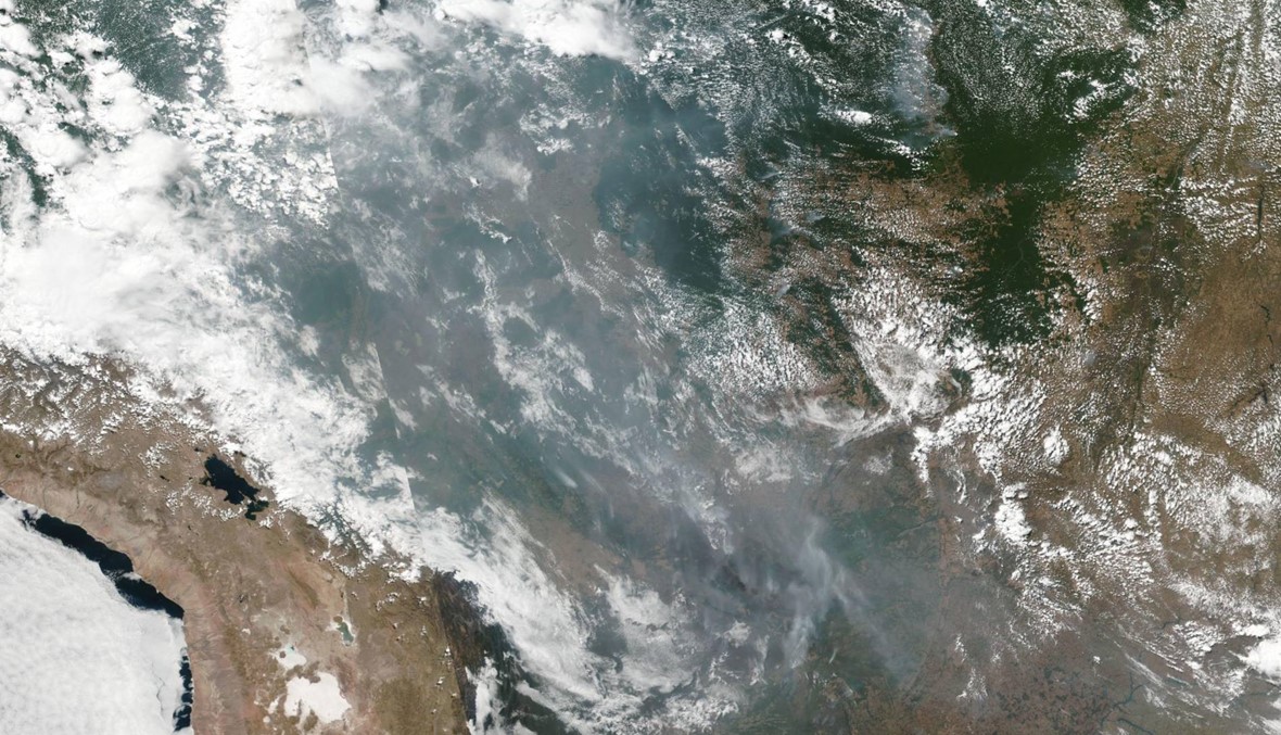 "رئة الأرض" تعاني... 20% من غابات الأمازون اختفت خلال 50 عاماً